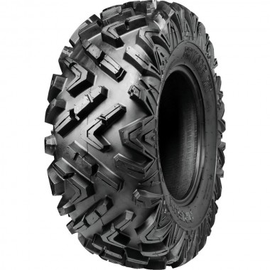 Arisun BRUISER XT